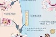 2026常州市TOP10私立的助孕机构