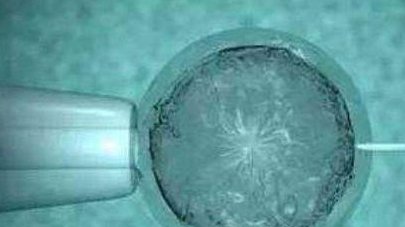 2026厦门助孕机构排名榜（医院名单今日全都公开）